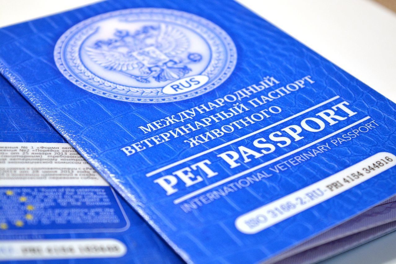 ветеринарный паспорт международного образца
